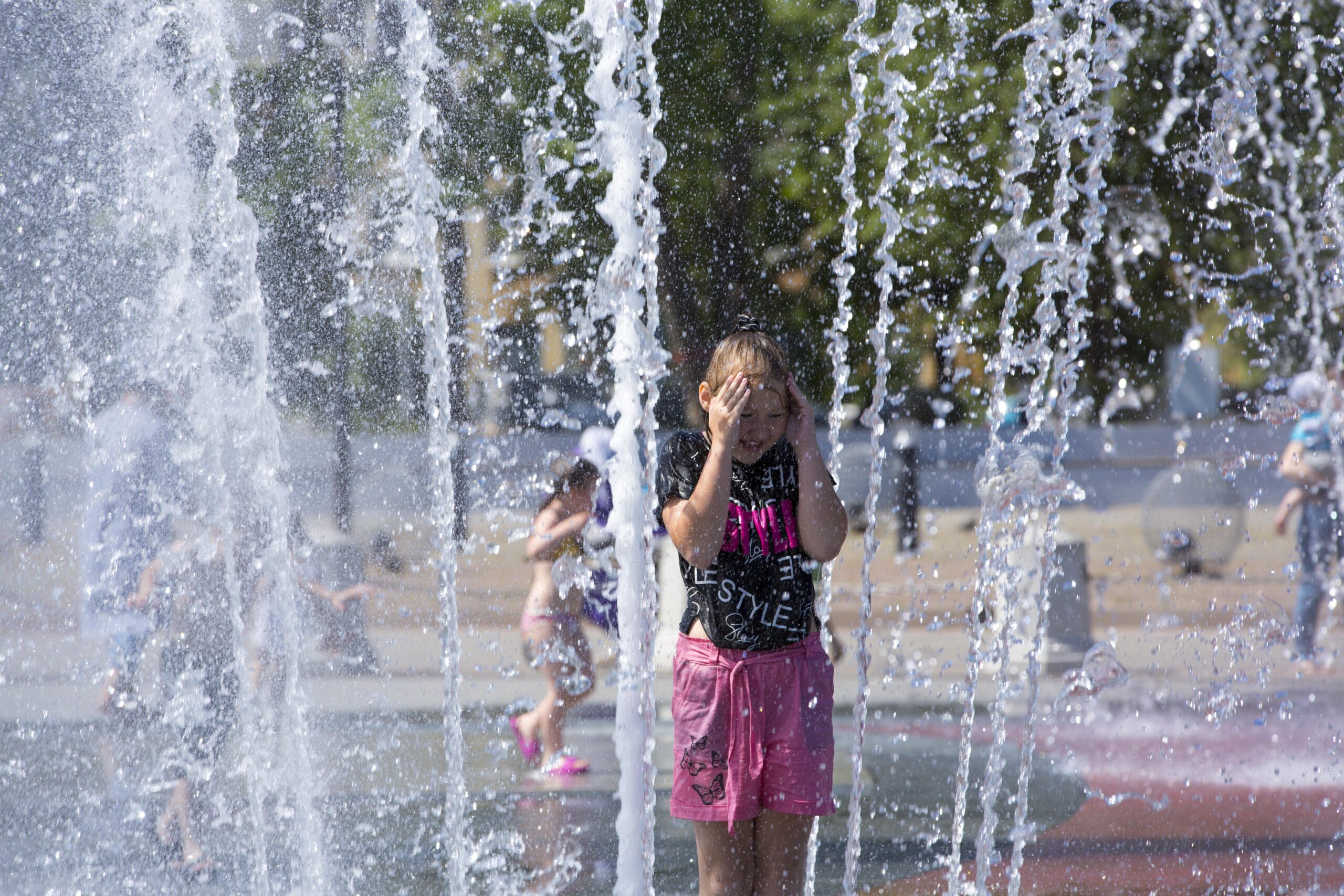 Lee más sobre el artículo Científicos israelíes advierten sobre puntos ciegos en los modelos que pronostican olas de calor