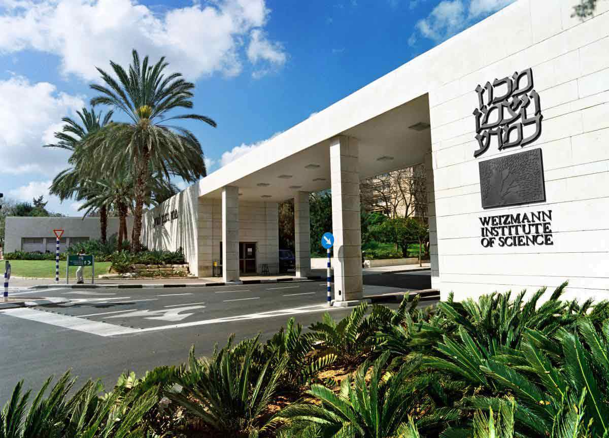 Lee más sobre el artículo El Weizmann Institute descubre que el sistema inmune puede «recordar» tumores y atacarlos con anticuerpos
